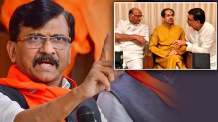 What Sanjay Raut Said About MVA?