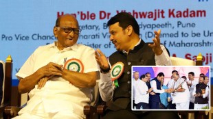 Sharad Pawar and Devendra Fadnavis