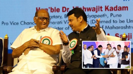 Sharad Pawar and Devendra Fadnavis