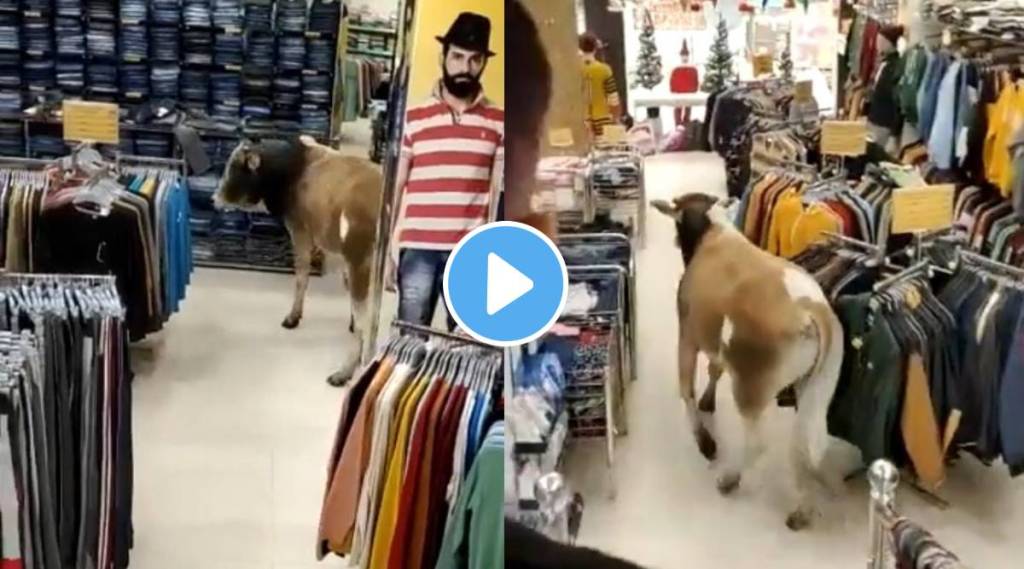 Viral Video cow entered the mall in Assam see what happened next