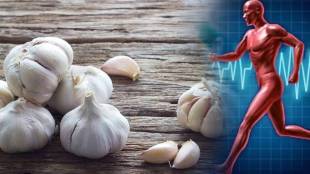 Do Not Consume Garlic If You Have These Three Diseases Garlic Works Like Poison Know From The Expert Health news