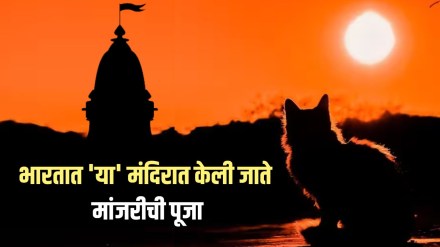 cat temple in karnataka