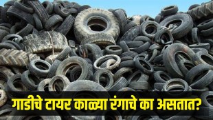 Why vehicle tires are black know the scientific reason behind it