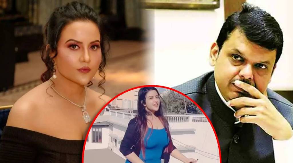 amruta fadnavis troll amruta fadnavis troll