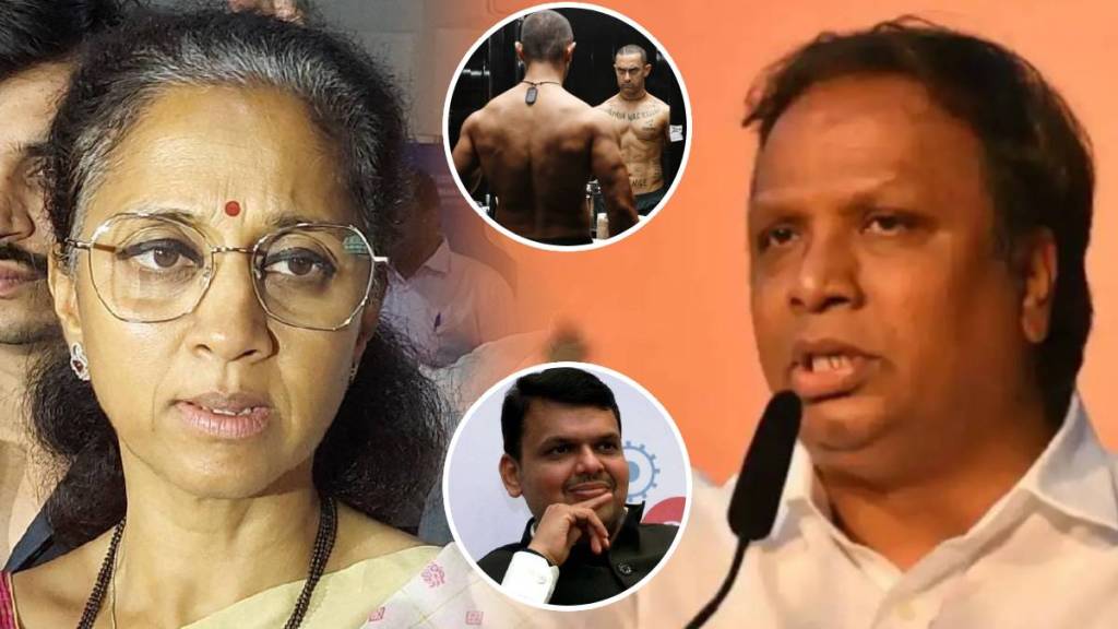 ashish shelar on supriya sule ashish shelar on supriya sule