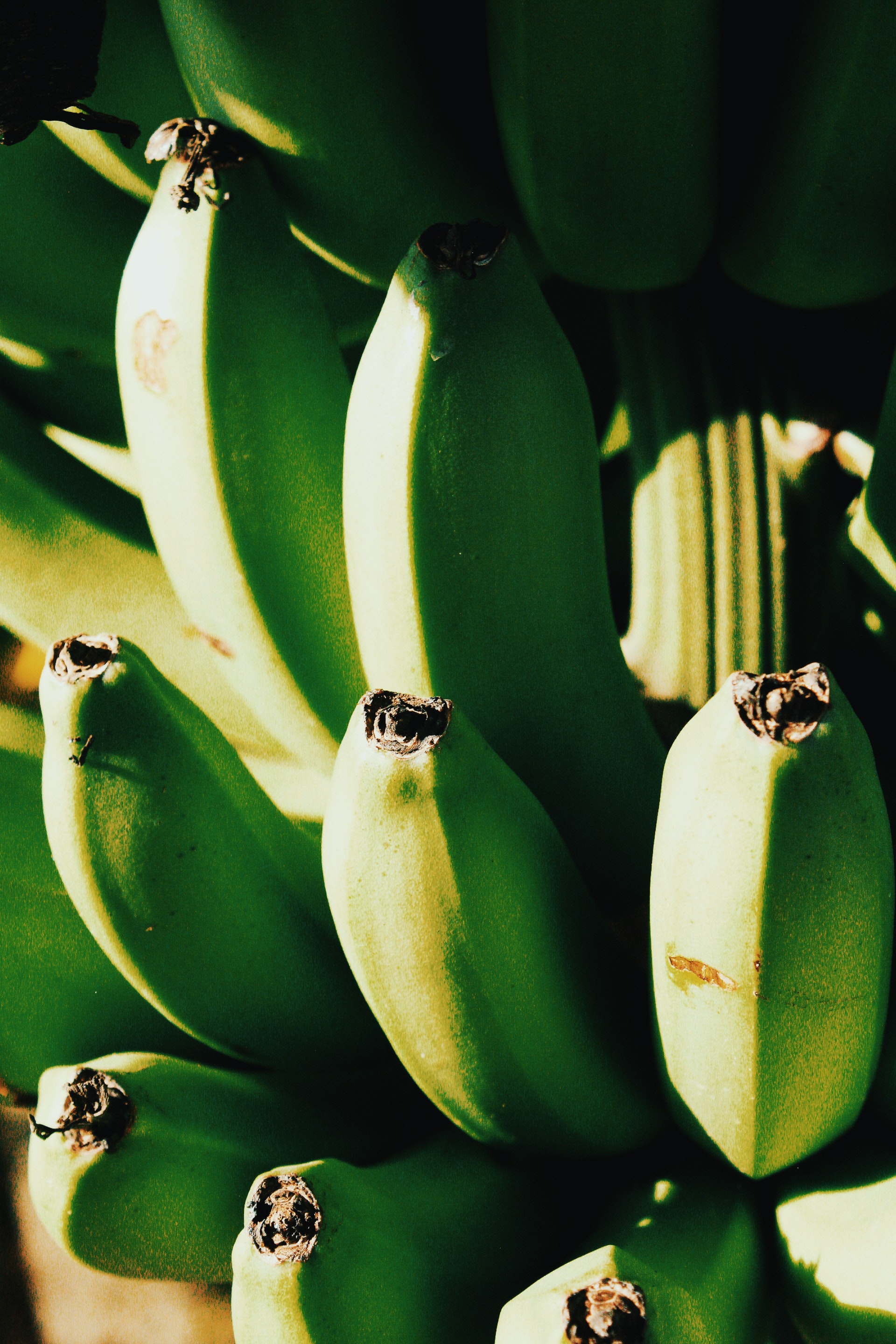 banana shape