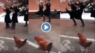 Trending Video of chicken