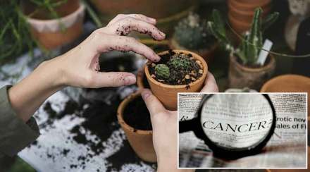 (Source: Pixabay)
(संग्रहित छायाचित्र) (Source: Pixabay)
(संग्रहित छायाचित्र)