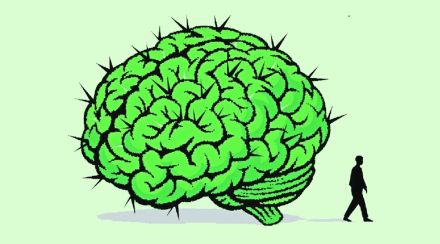 cha2 brain