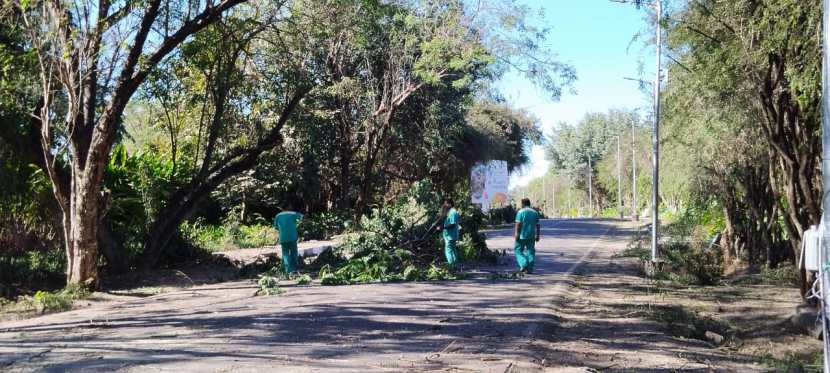 प्रवेशद्वारापासून मुख्य इमारतीपर्यंतच्या मार्गावरील वाढलेल्या झाडांची छाटणीही करण्यात आली आहे.