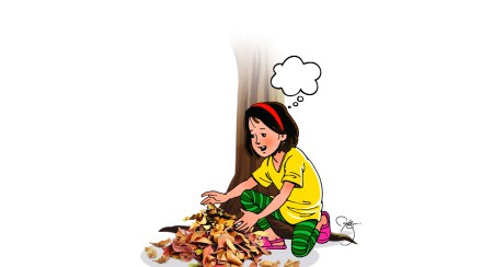 कार्यरत चिमुकले..: वाळलेल्या पानांचं नियोजन