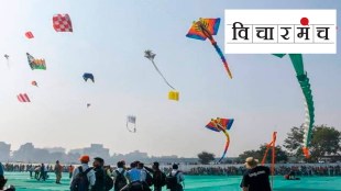 Kite flying, dangerous, thread, harmful, string