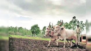 farmers