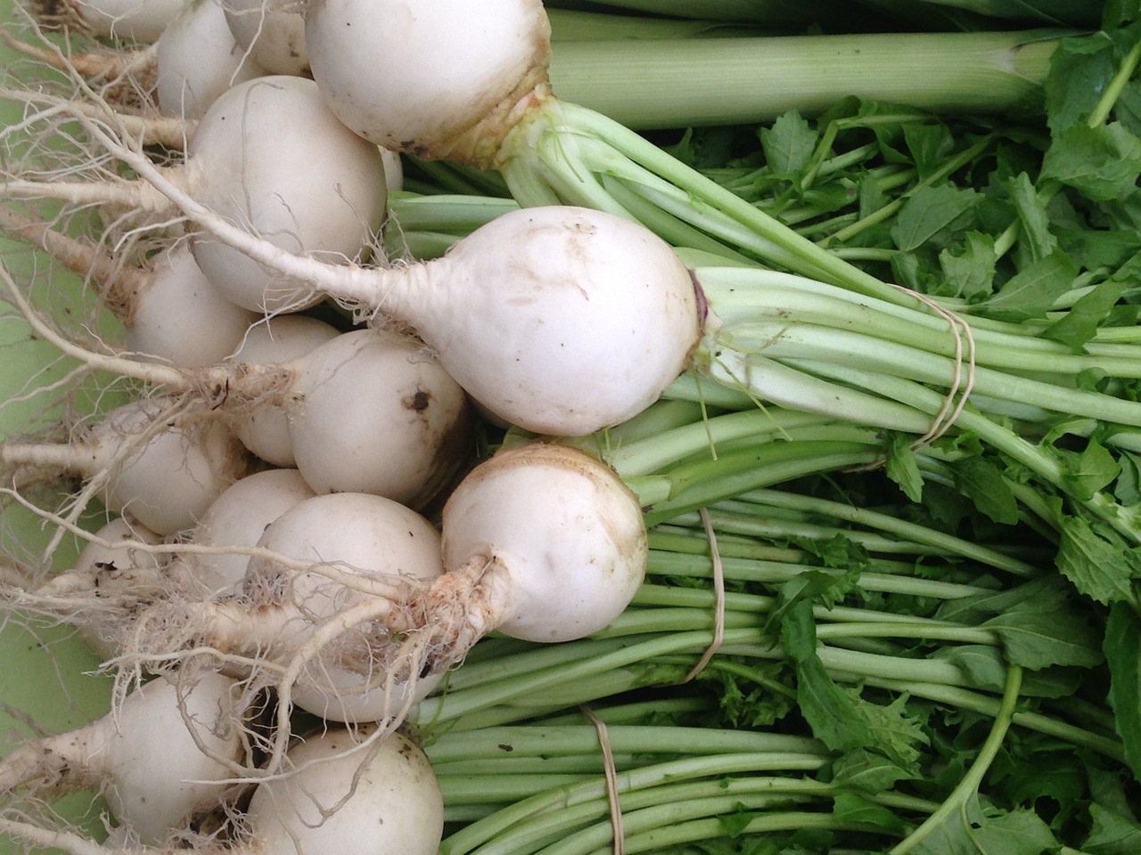 radish leaves benefits