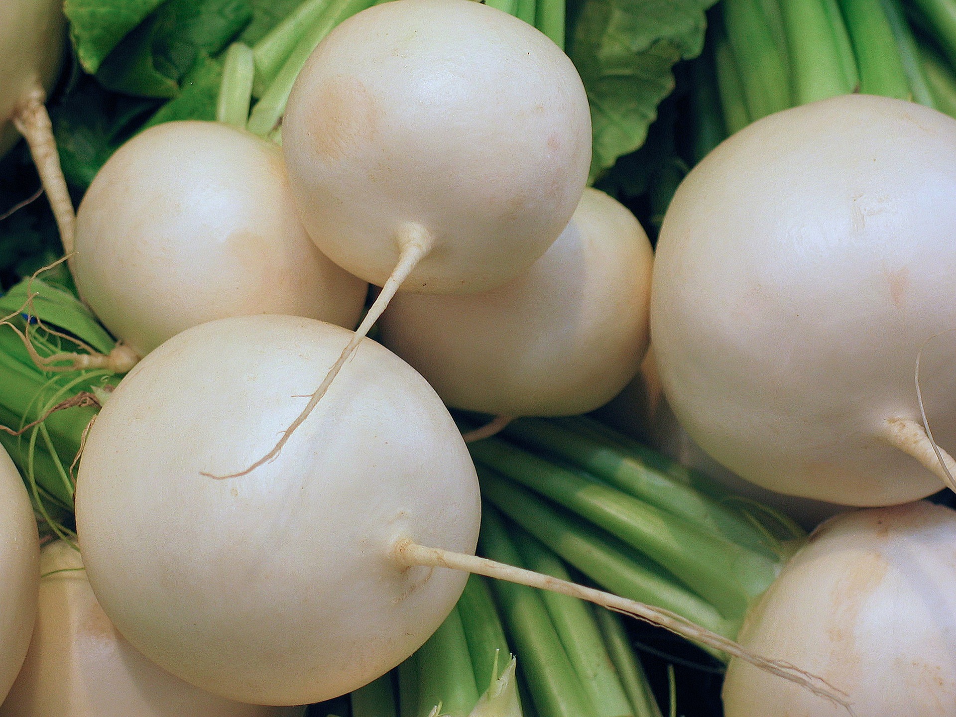 radish leaves benefits