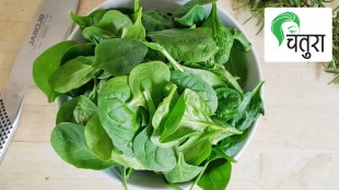 spinach, healthy habits