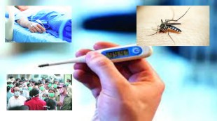 swine flu patient increase