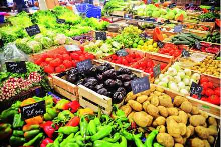 vegitable