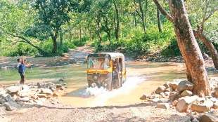 pwd to construct two new bridges