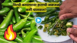 Video: मिरची कापल्यावर हाताची आग होते? जाळ घालवण्यासाठी पाहा ‘हे’ ५ स्मार्ट उपाय