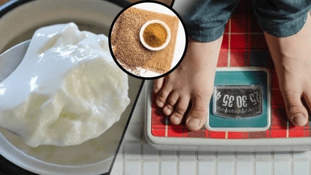Curd And Jeera Powder Mix Can help You cure diabetes blood pressure Cholesterol When Is The Right Time to Eat Dahi