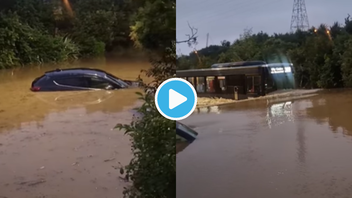 Bus speeds through deep floodwaters Watch shocking video goes Viral ...