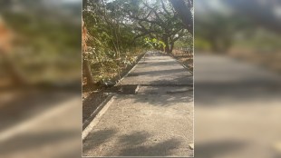 A 7.2 km long cycle track along Palm Beach Road in Navi Mumbai