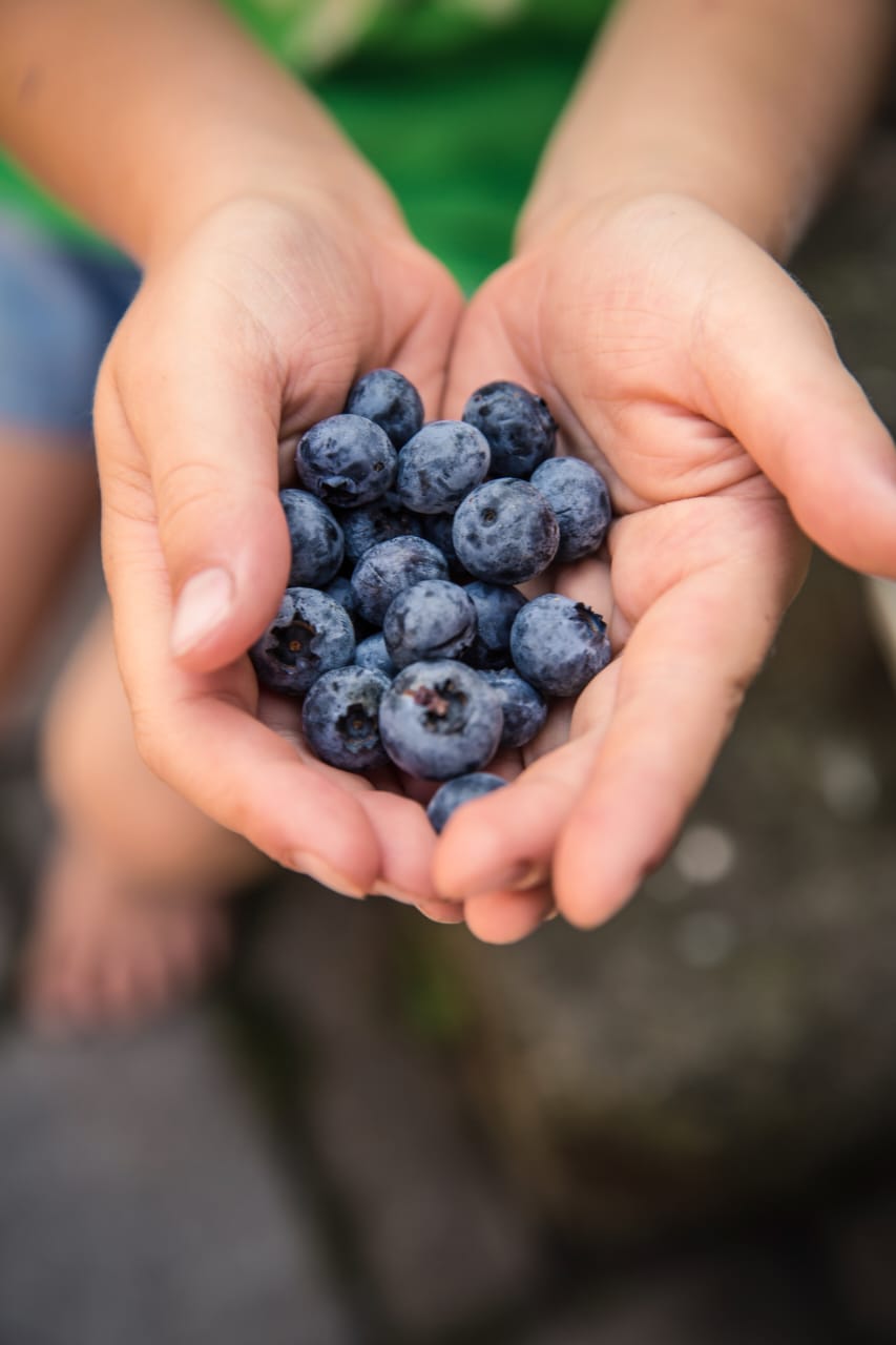Blueberry
