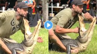 Crocodile Attack Viral Video On Instagram