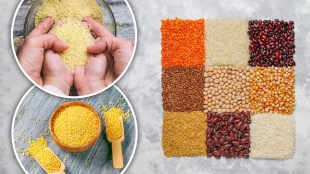 Food Grain