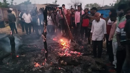 Washim district , goat, fire incident, Malegaon Tehsil Washim district , goat, fire incident, Malegaon Tehsil