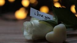 I Love You मधील ‘लव्ह’ शब्द कोणत्या भाषेमधून आला? जाणून घ्या..