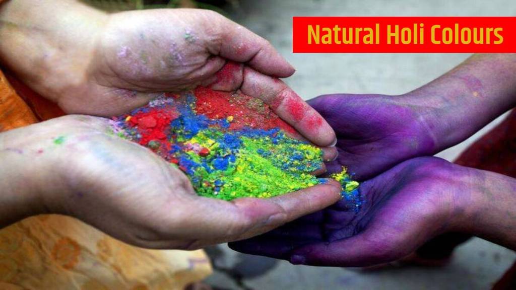 holi colours holi colours