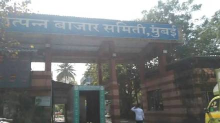 Administrator Mumbai apmc