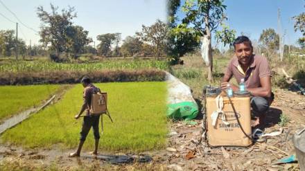 farmer Spray liquor on crop