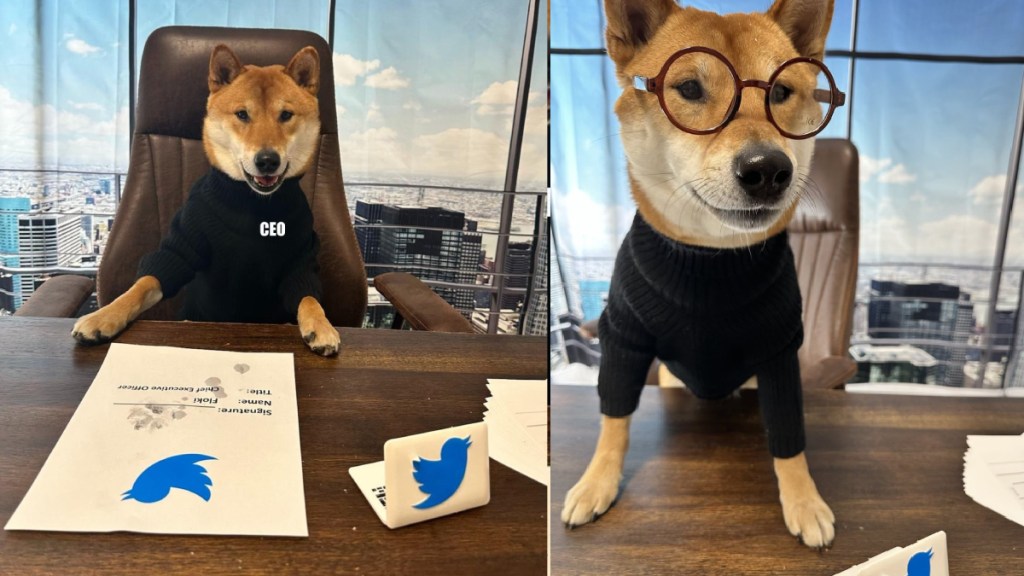 elon musk declared new ceo of twitter