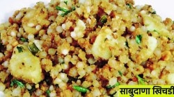 महाशिवरात्रीच्या उपवासात ‘या’ सोप्या पद्धतीने बनवा ‘साबुदाणा खिचडी’; एनर्जी दिवसभर टिकून राहील