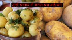 बाजारात खोट्या बटाट्यांनी वाढली डोकेदुखी! तुम्ही खाताय तो बटाटा खरा आहे का कसे ओळखाल?