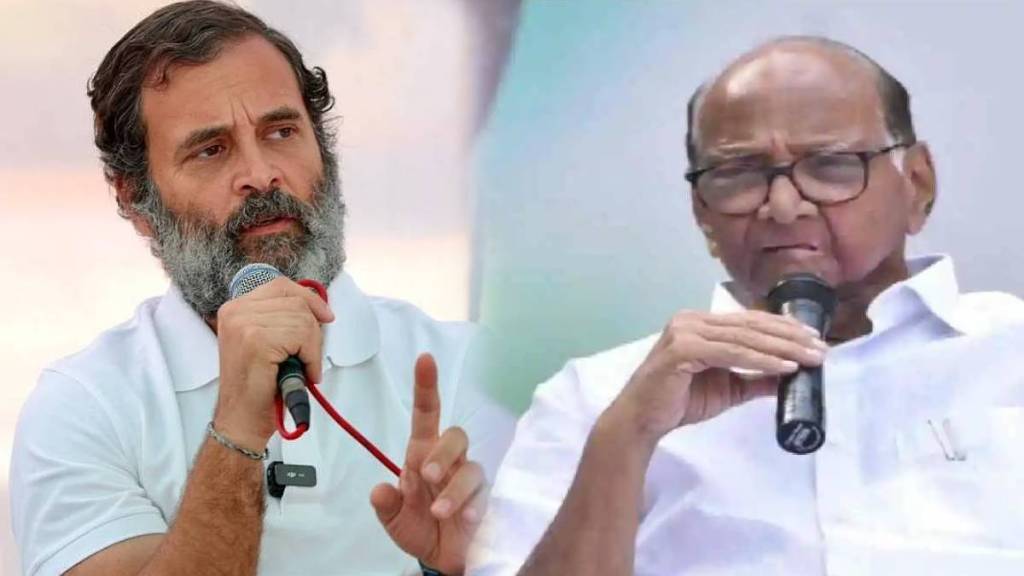 sharad pawar praise rahul gandhi