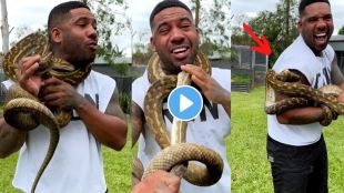 Giant Python Attack Video
