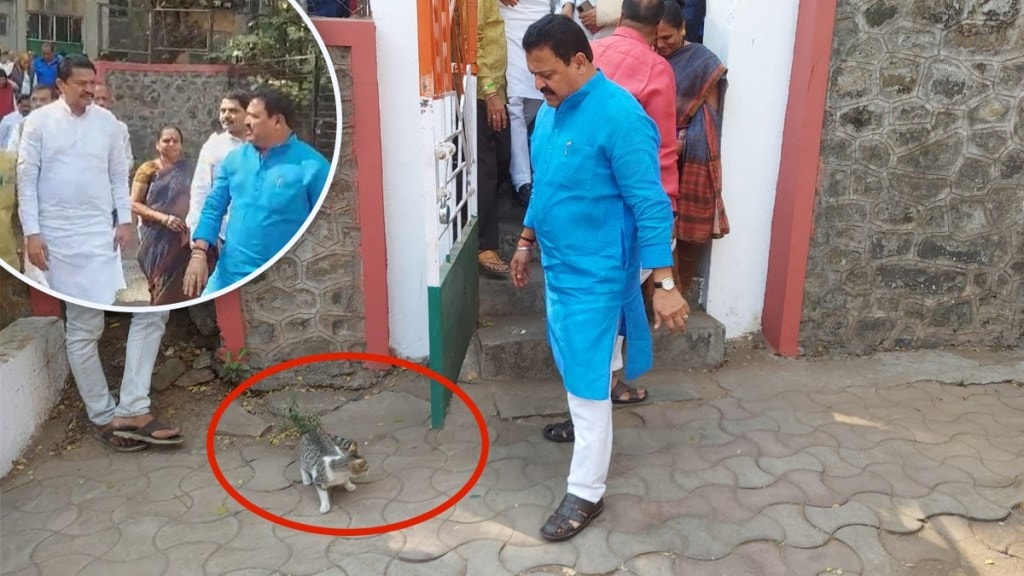 prevent cat crossing nana patole prevent cat crossing nana patole