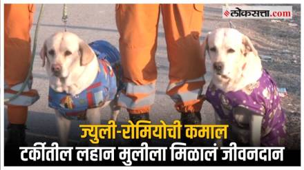 NDRF's The two labradors saved 6 year old girl