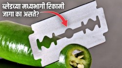 ब्लेडच्या मध्यभागी रिकामी जागा का असते? यामागचे कारण जाणून तुम्हीही थक्क व्हाल