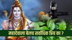 महादेवाला बेलच सर्वाधिक प्रिय का? यामागचे कारण जाणून तुम्हीही थक्क व्हाल