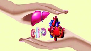 session on organ donation nashik