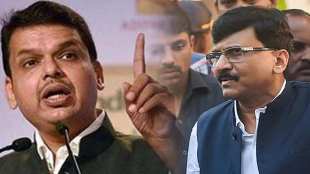 devendra fadnavis on sanjay raut