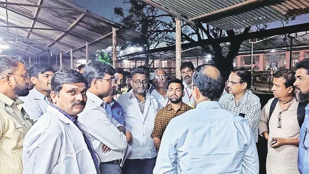 cow death in kaneri math sick cows health Improving in kaneri math
