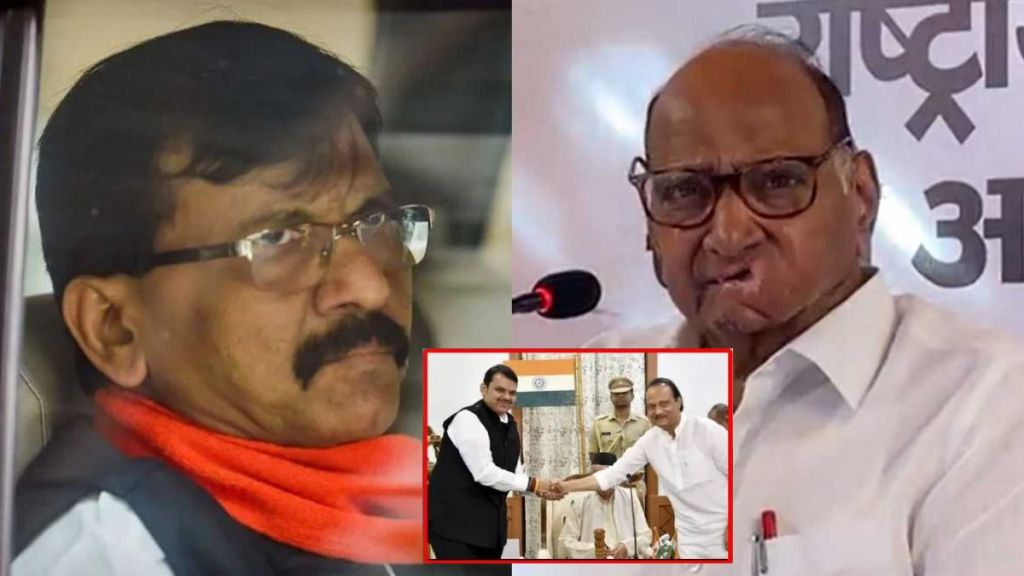sanjay raut and sharad pawar sanjay raut and sharad pawar