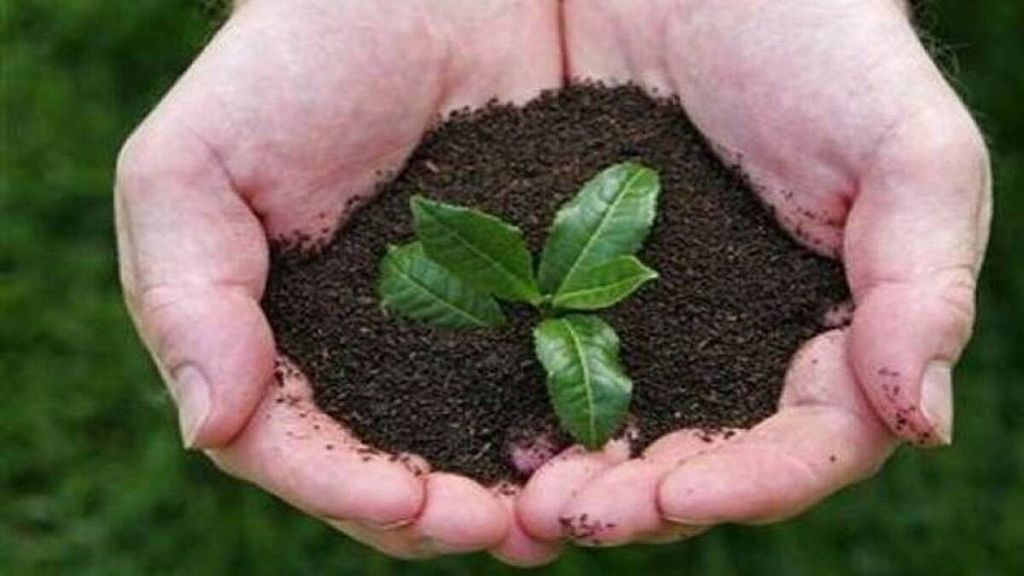 soil