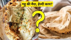 गव्हापेक्षा वेगाने पचतात मैद्याच्या पोळ्या! न्यूट्रिशनिस्ट सांगतात डायबिटीज व वजन जास्त असल्यास किती करावे सेवन?